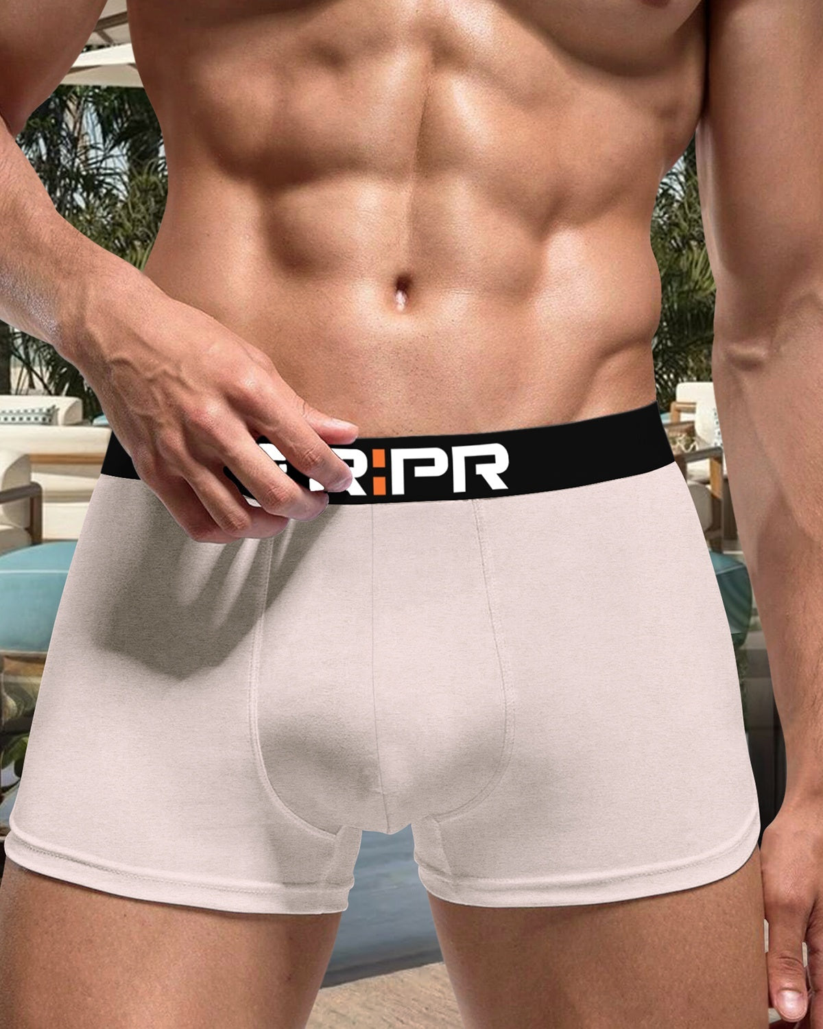 Men Plain Beige Trunk