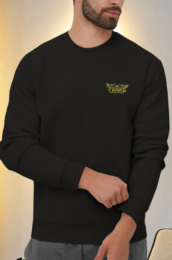 mens sweatshirt-BLACK