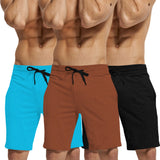 mens short-PACK OF 3-brown-black-skyblue